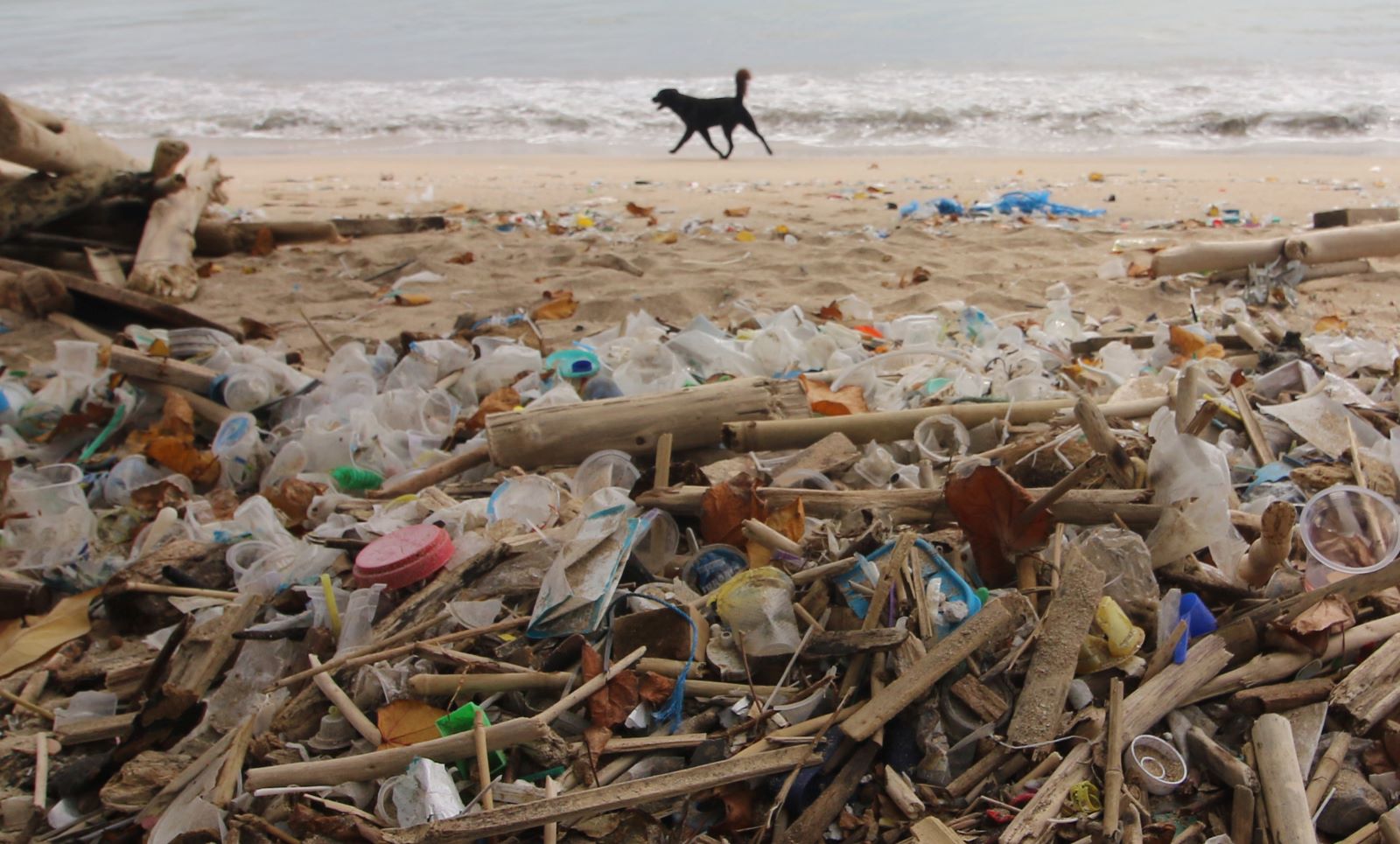 DARURAT SAMPAH: Sampah botol air mineral terlihat berserakan di Pantai Kuta bercampur sampah kiriman