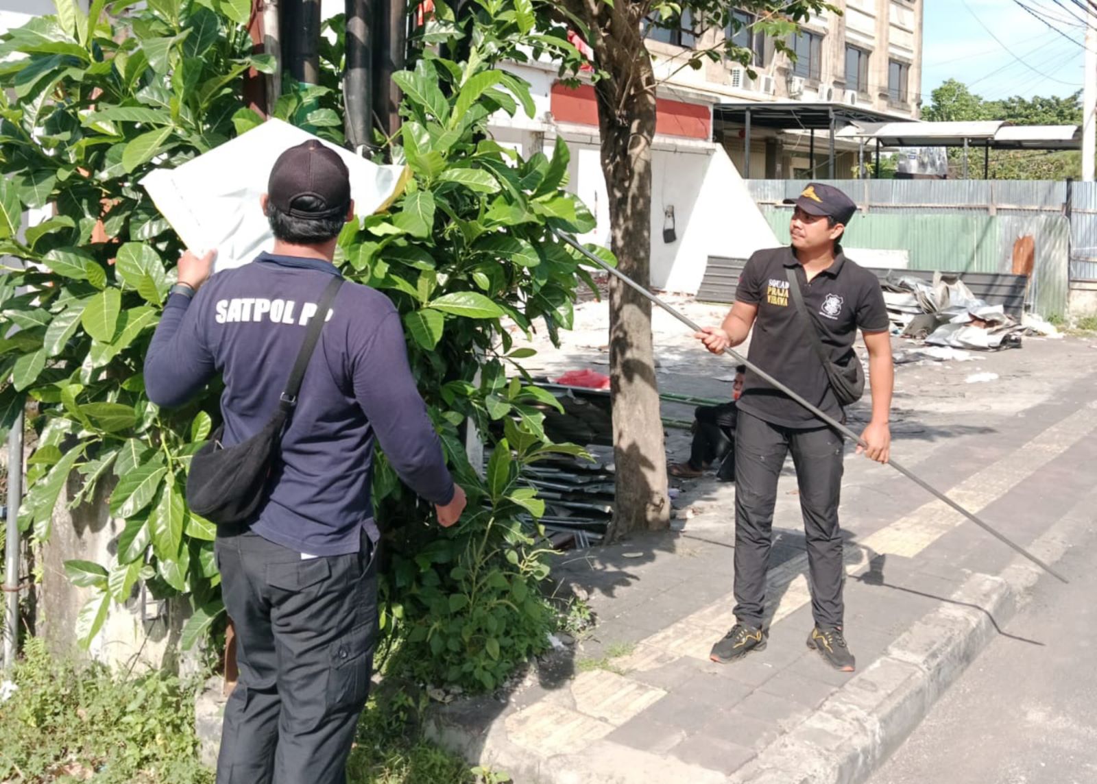 MENGGANGGU: satpol PP Kota Denpasar sedang menurunkan reklame dan spanduk.