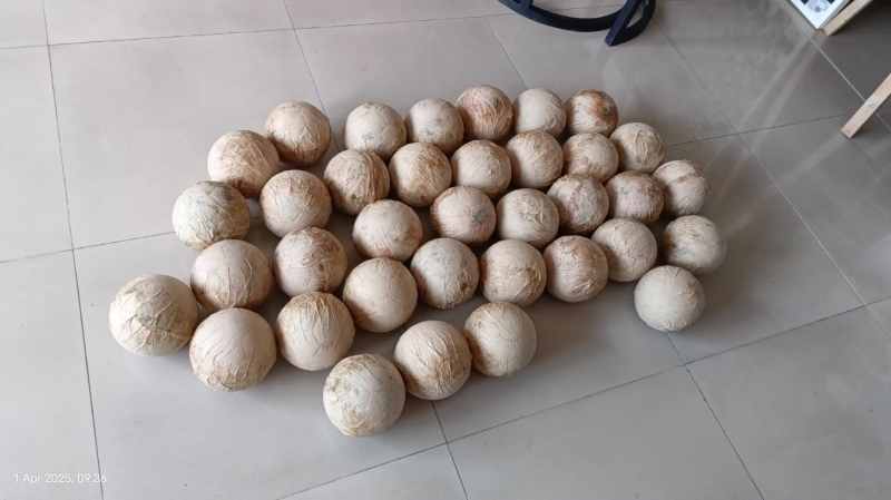 Karya Diwarupa