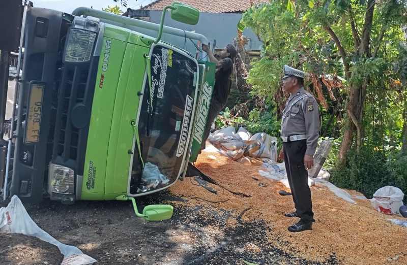 DI JALUR TENGKORAK TABANAN : Kondisi truk terguling bermuatan jagung bernopol F 9568 FF di Jalur Tengkorak Denpasar-Gilimanuk. (foto:istimewa)