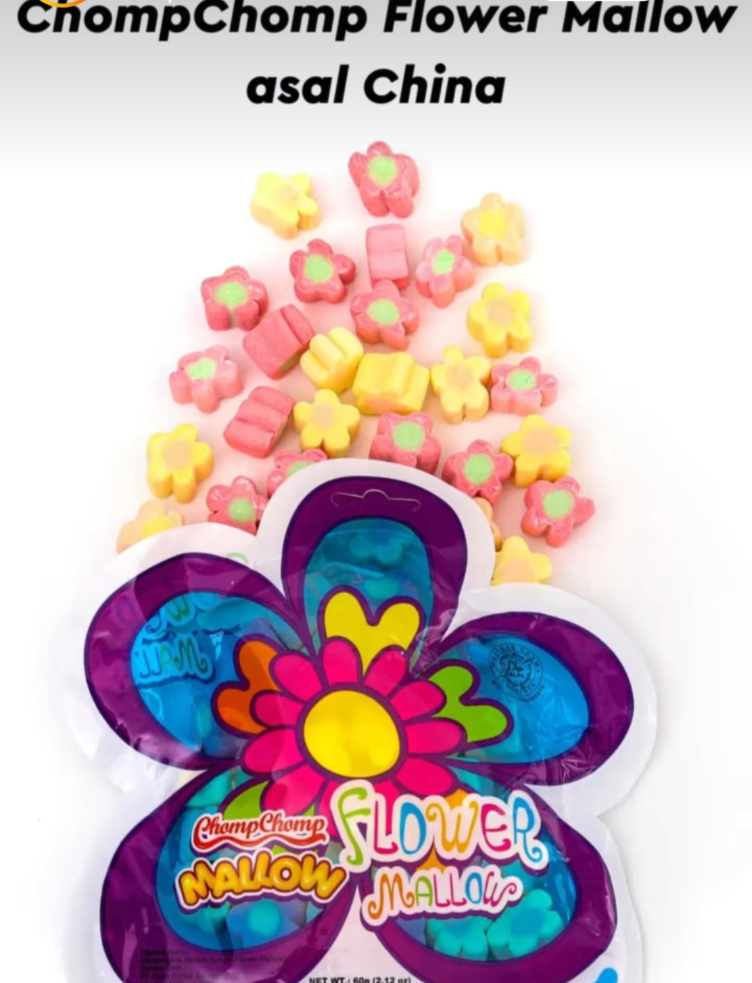 Chompchomp Flower Mallow