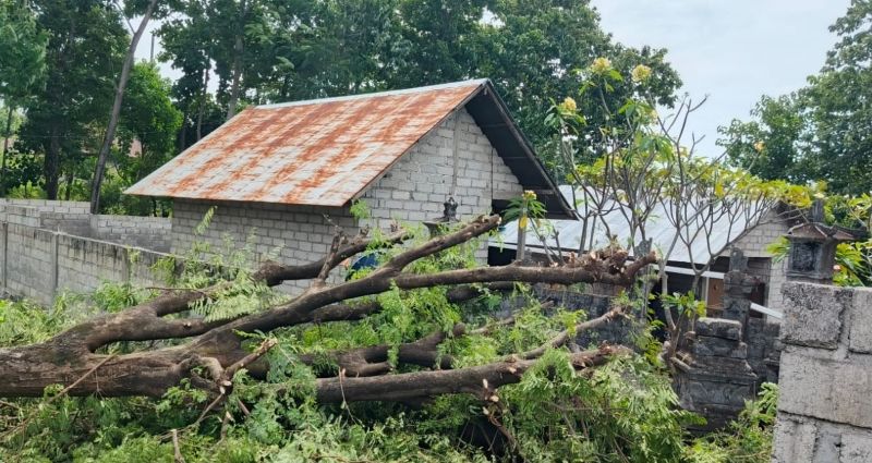 TERTIMPA POHON ASEM: Pelinggih milik warga Desa Tulamben, Kecamatan Kubu rusak akibat tertimpa pohon tumbang, (Istimewa)