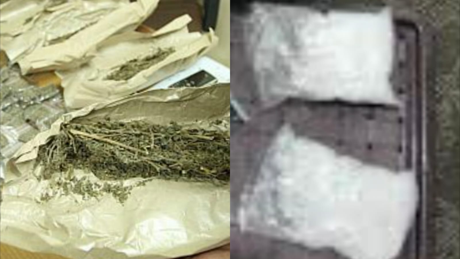 BEREDAR: Ilustrasi narkoba jenis marijuana alias ganja dan hasis yang disita polisi dari tangan dua WNA India dan Australia dalam jaringan narkoba Amerika di Bali.