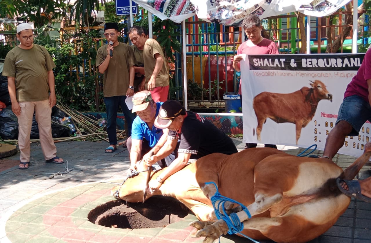 Caption Foto:  QURBAN: Kepala SMP Muhammadiyah 2 Denpasar, Muhammad Syobri, S.Pd.I (kiri), menyaksikan langsung penyembelihan yang dilakukan Tim Juleha, Jum