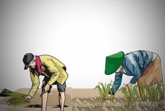 ilustrasi alih fungsi lahan-ainur ochiem--Jawa Pos- Radar Bojonegoro