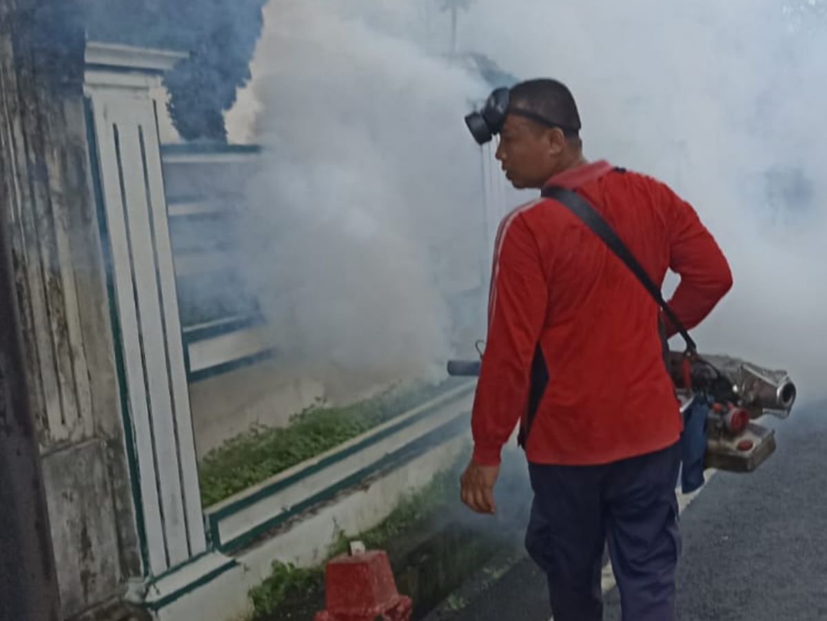 ANOMALI: Kasus DBD di Kota Denpasar terus meningkat meski upaya penanganan juga gencar dilakukan
