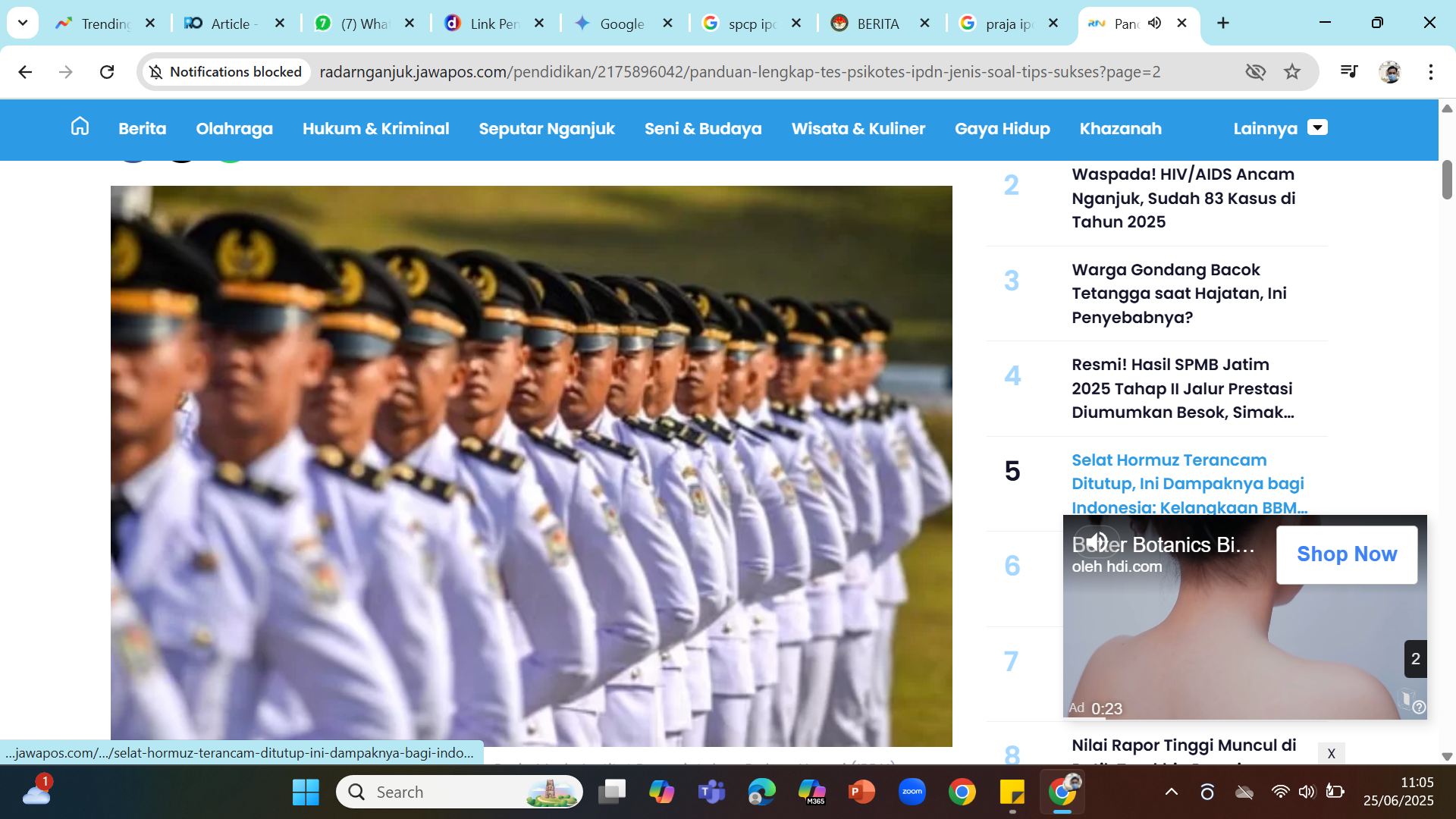 ILustrasi - Praja IPDN