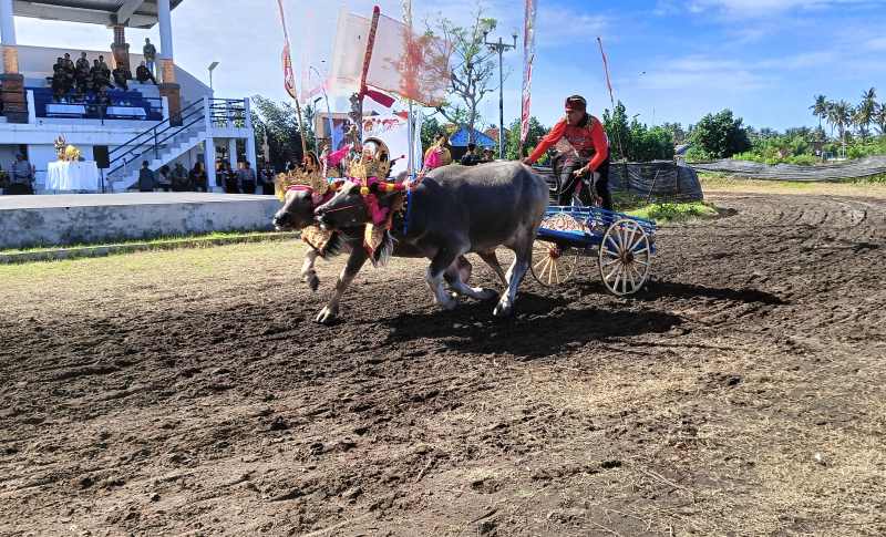 BERADU CEPAT : Salah satu peserta saat digelar Kapolda Bali Cup, di Sirkuit All in On Pengambengan.(m.basir/radar bali)