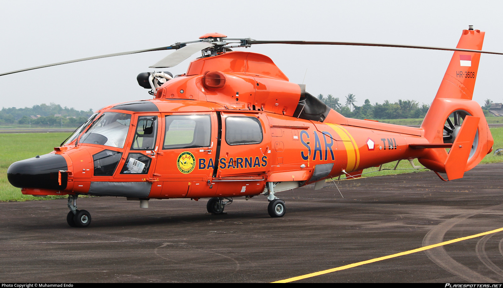 CARI 30 KORBAN - Heli SAR Basarnas