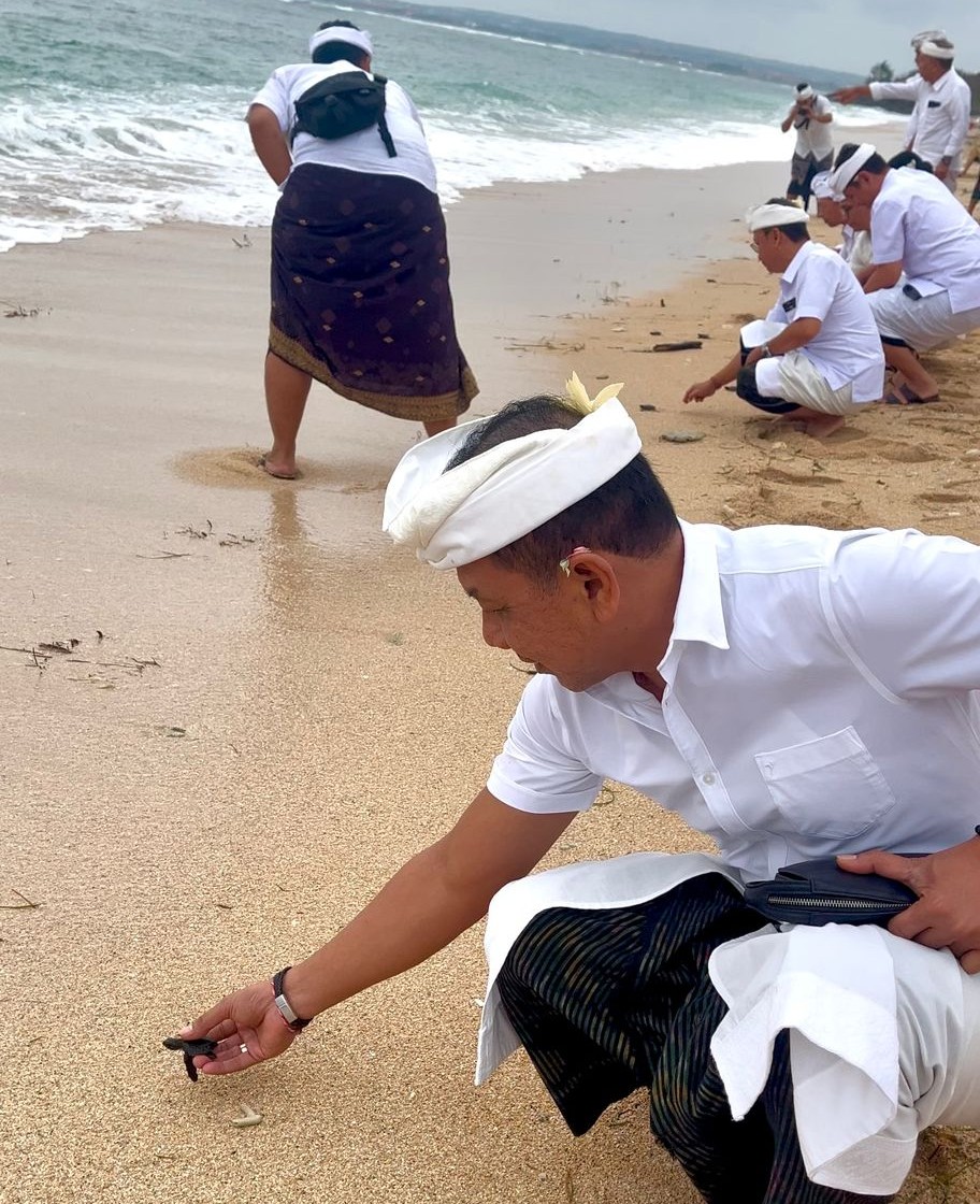ALAM BEBAS: Pelepasan tukik di pantai Pulau Serangan