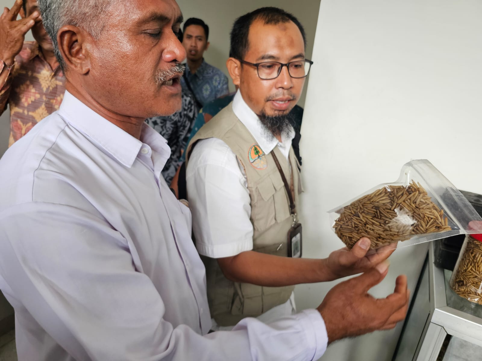 KELOLA SAMPAH: Maggot hasil pengolahan sampah di TPST Sandubaya Kota Mataram yang ditunjukkan kepada dewan Bali 16 Juli 2025.
