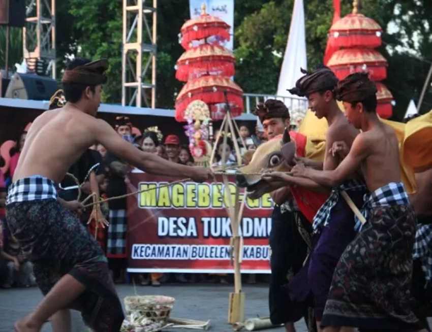 SEMARAK : Tradisi megebeg-gebegan saat dipentaskan saat Festival Lovina beberapa waktu lalu. (dok radarbali.id)