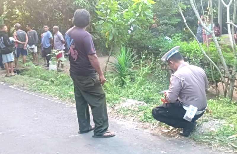 GELAR OLAH TKP : Polisi melakukan olah tempat kejadian perkara usai terjadi kecelakaan. (Foto: Polres Buleleng untuk Radar Bali)