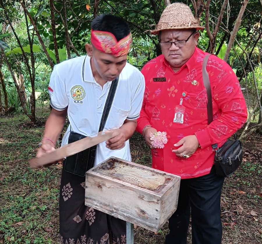 KHAS : Budidaya lebah trigona yang dijadikan produksi madu dilakukan oleh kelompok tani Wana Kelo, Desa Wanasari, Kecamatan Tabanan. (Foto/Juliadi/Radar Bali)