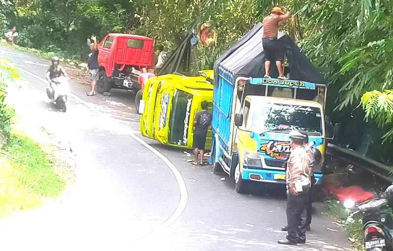 APES DI PERJALANAN : Kondisi truk nahas yang terguling dievakuasi isi dan kendaraannya gegara as patah.( Foto: Polres Buleleng untuk Radar Bali)