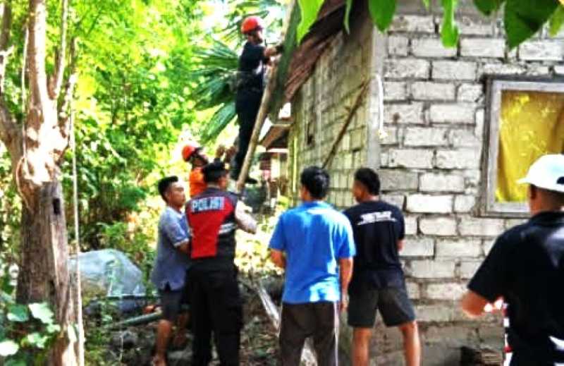 TUMBANG : Pohon tumbang menimpa rumah warga di Banjar Penggak Sajeng, Desa Laba Sari, Kecamatan Abang.(istimewa)