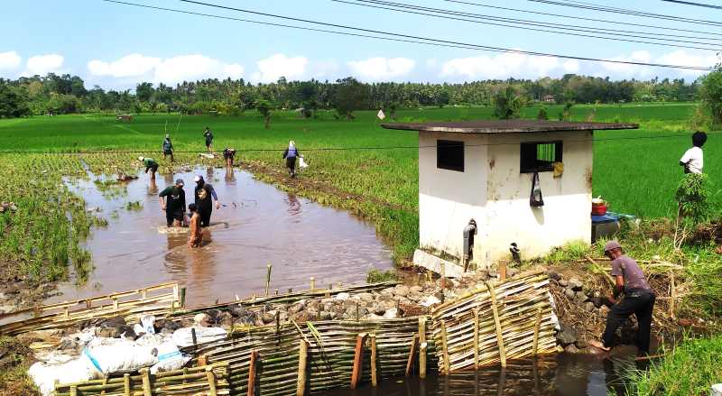 TERDAMPAK: Lahan sawah terdampak banjir di Desa Banyubiru tertutup material batu, pecahan pasir dan semen serta sampah. (M.Basir/Radar Bali)