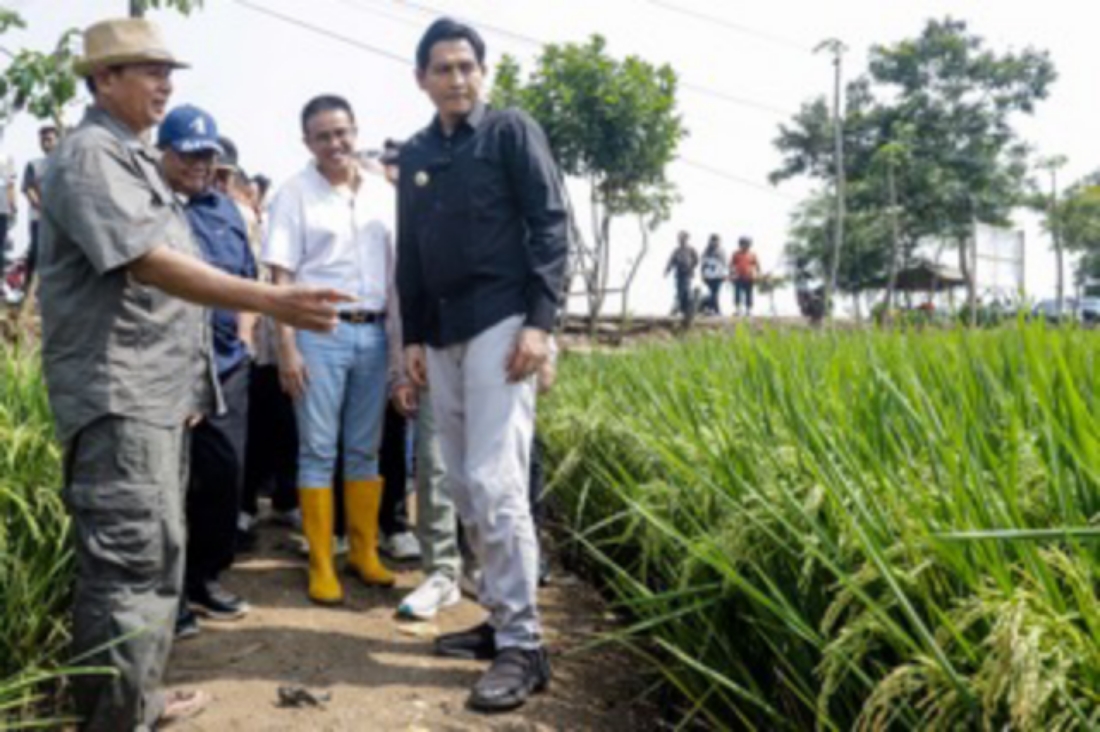 PERAN NASIONAL: Bupati Indramayu Lucky Hakim (kanan) di lahan uji coba sistem pertanian di Desa Wanasari, Kecamatan Bangodua, Kabupaten Indramayu, Sabtu (27/9/2025). (Alfian Rizal/Jawa Pos)