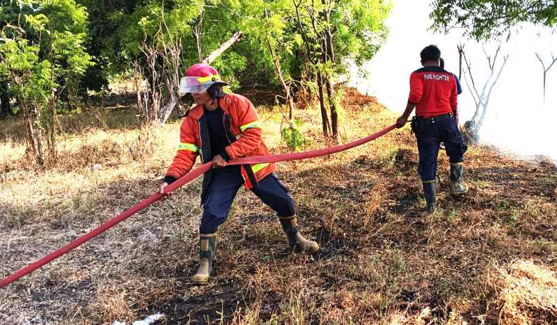 PADAMKAN API : Petugas pemadam kebakaran saat melakukan pemadaman kebakaran lahan di Kubu belum lama ini. (Foto damkartan Karangasem)