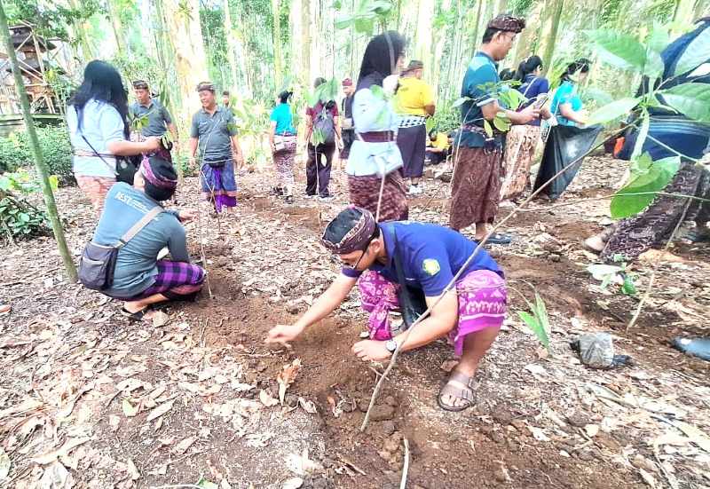 PEDULI LINGKUNGAN : Para pegiat Himpunan Ahli Kesehatan Lingkungan Indonesia (HAKLI) menanam pohon di kawasan wisata Sangeh, Abiansemal, Badung. (istimewa)