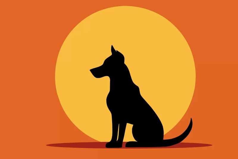 Ilustrasi anjing liar.dok. JawaPos.com