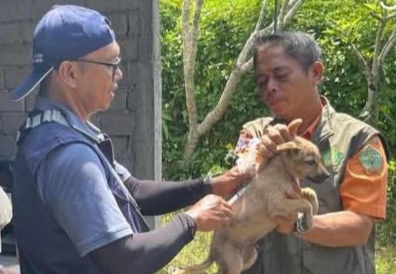 DISUNTIK VAKSIN: Vaksinasi rabies di Desa Yehembang, Kecamatan Mendoyo. (foto: BPBD Jembrana)