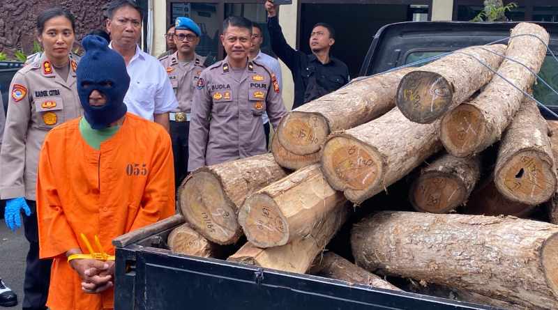 DITANGKAP LAGI : Tersangka pembalakan hutan dan barang bukti di Polres Jembrana. (M. Basir)