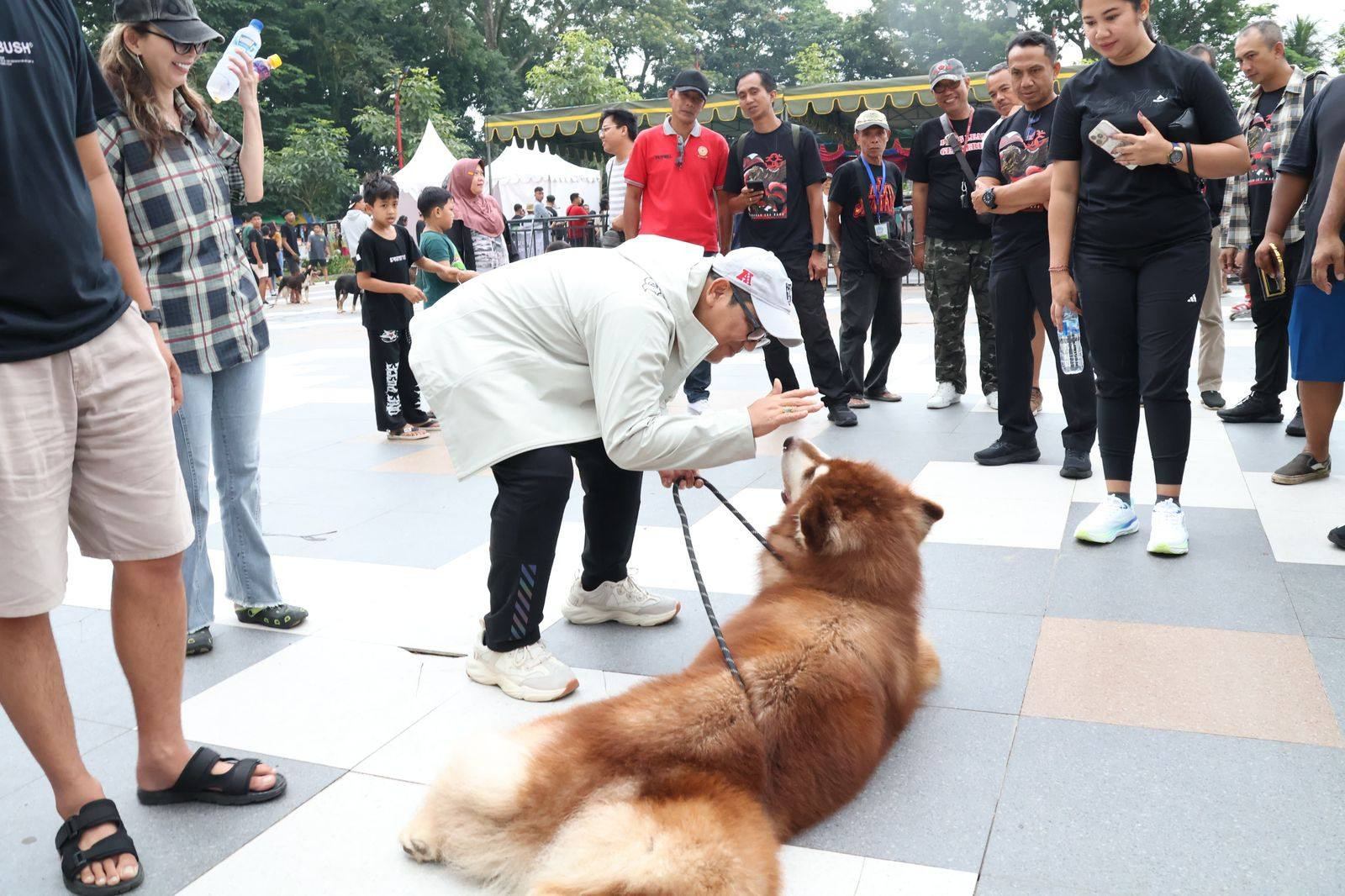 Suasana Singasana Dog Show rangkaian HUT Ke- 532 Kota Singasana di Lapangan Alit Saputra (Lapangan DC), Singasana, Tabanan, pada Minggu (2/11/2025).