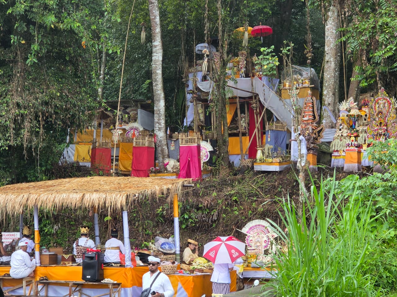 Upacara Wana Kertih di Pura Pucak Mangu, Banjar Tinggan, Kabupaten Badung, Selasa (4/11/2025) (Marsellus Pampur/Radar Bali)