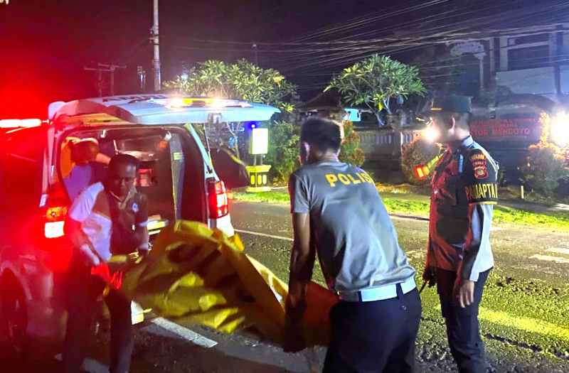 EVAKUASI KORBAN : Petugas melakukan evakuasi korban kecelakaan depan Polsek Mendoyo. (FOTO Satlantas Polres Jembrana)