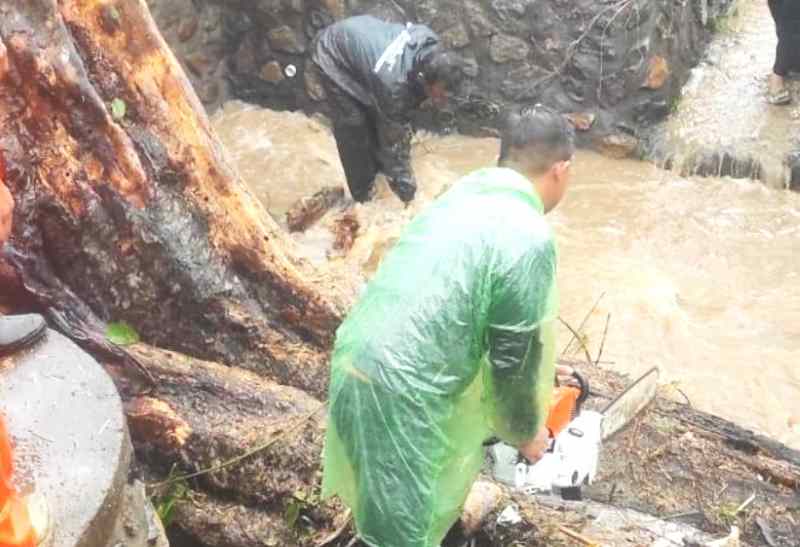 HARUS DIBERSIHKAN : Petugas melakukan pemotongan kayu yang menyumbat gorong- gorong . (foto:BPBD Jembrana)