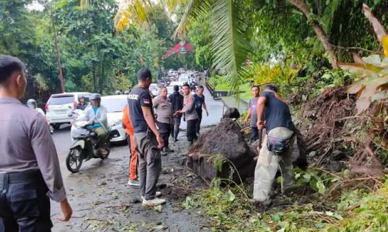 BANYAK DAERAH RAWAN BENCANA : Tanah longsor di Tabanan, beberapa waktu lalu. (dok. Radar Bali)