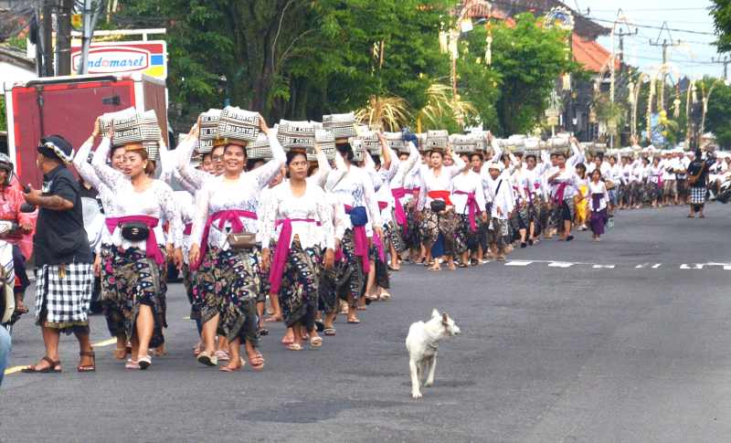 SAMBUT  GALUNGAN: Prosesi mepaed keben sebagai bagian dari rangkaian menyambut hari suci Galungan. (Adrian Suwanto/Radar Bali)