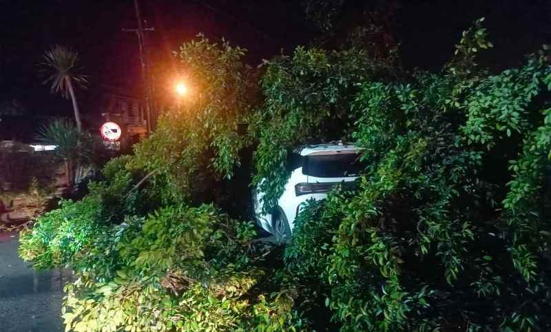 MENIMPA MOBIL: Sebuah mobil bernopol DK 1231 XX tertimpa patahan dahan pohon beringin di Simpang Empat, Takmung, Kecamatan Banjarangakan.( Foto: Polres Klungkung)