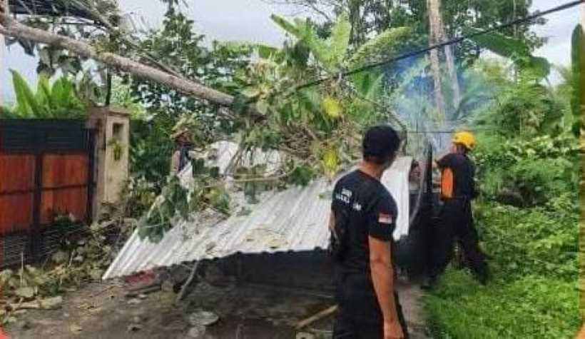 BERSIHKAN BATANG POHON: Petugas BPBD Karangasem bersih-bersih batang pohon tumbang akibat hujan deras dan angin kencang. (ist)