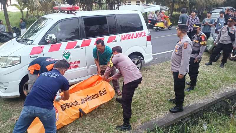 DIEVAKUASI : Petugas mengevakuasi jenazah lansia tewas di gubuk . (Foto Polsek Mendoyo)