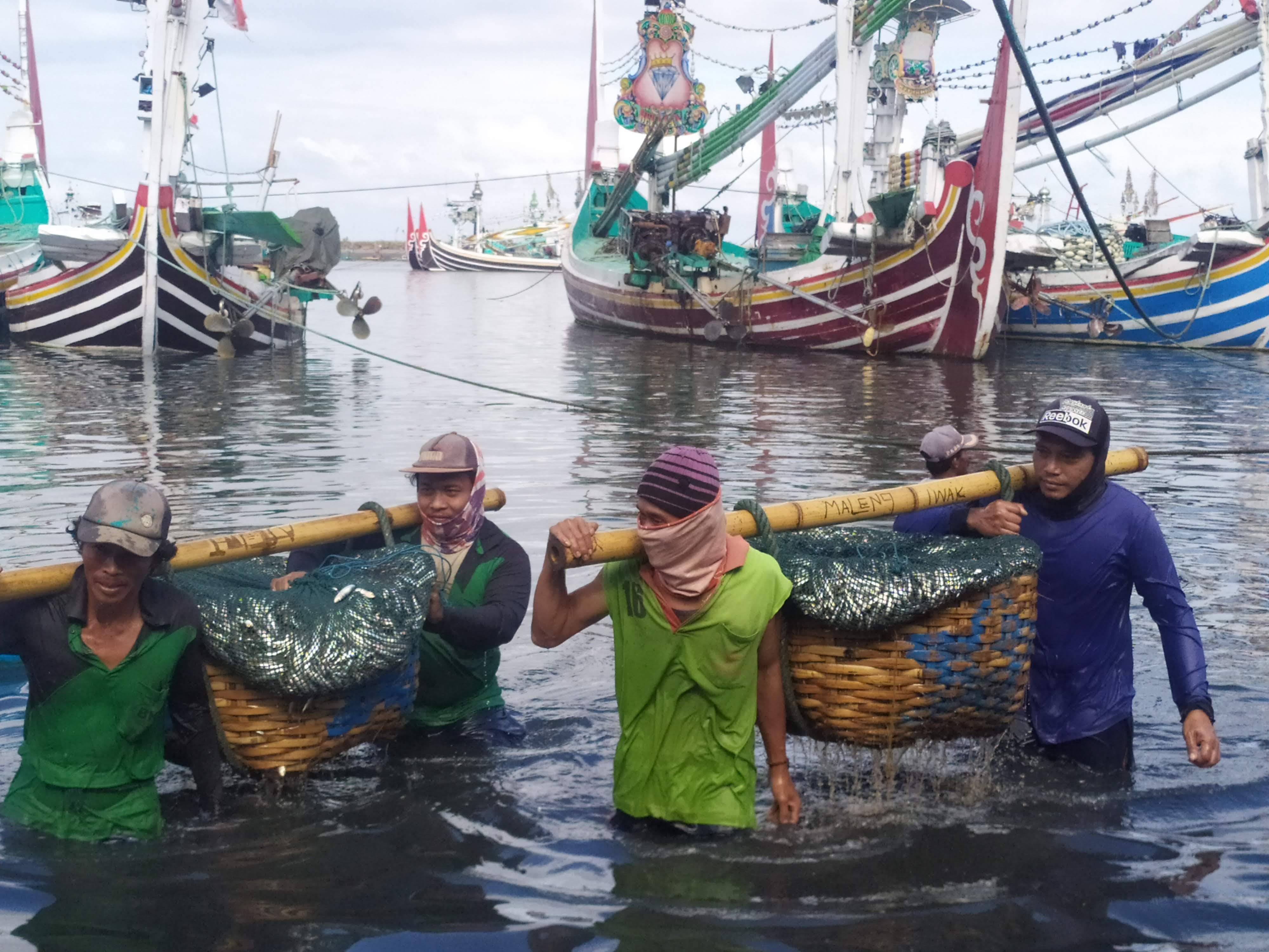 MENURUN: Aktivitas nelayan dengan ikan hasil tangkapan di TPI Pengambengan. (foto: M.Basir/Radar Bali)