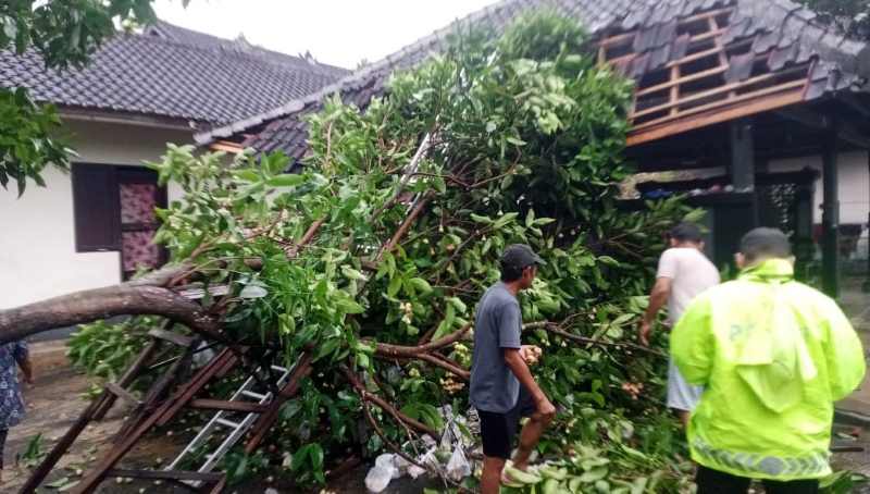 MENIMPA RUMAH WARGA : Pohon tumbang menimpa bangunan milik warga. (foto:dok. polsek pekutatan)