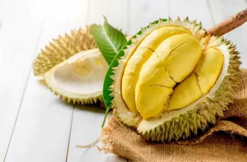 ilustrasi buah durian. (foto: Freepik/JPG)