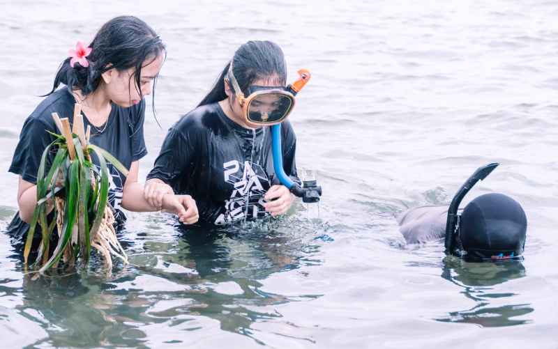 KONSERVASI : Bendega melakukan konservasi lamun di Pantai Mertasari, sanur berfungsi menghasilkan oksigen dan rumah bagi biota laut. (Foto-foto: Yayasan Bendega Alam Lestari untuk Radar Bali)