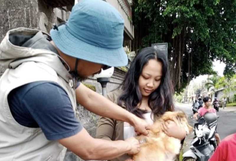 ilustrasi suntikan vaksinasi antirabies. dok.radar bali