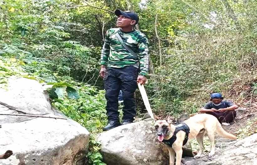 Ilustrasi patroli hutan Polhut di TNBB dengan anjing pelacak. (foto: Satgas Hutan Polhut TNBB)