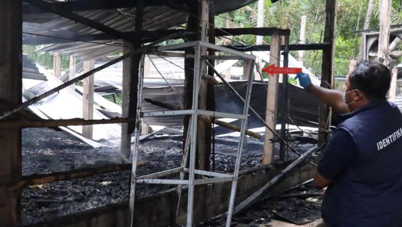 GELAR OLAH TKP : Polisi menggelar olah TKP di puing kandang ayam wilayah Jehem, Bangli.(foto:Polres Bangli)