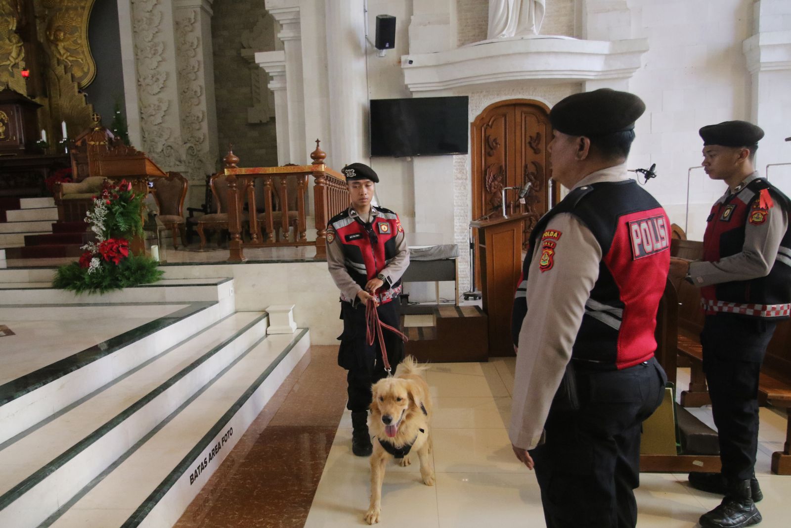 STERIL: petugas unit K-9 Polda Bali dengan anjing pelacak melalukan sterilisasi di bagian dalam Gereja Katedral Roh Kudus, Renon sebelum misa Natal (24/12/2025).