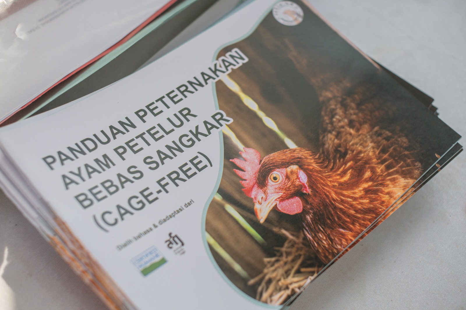 Sepanjang tahun 2025, sebanyak 16 HORECA di Bali mulai beralih menggunakan telur cage-free