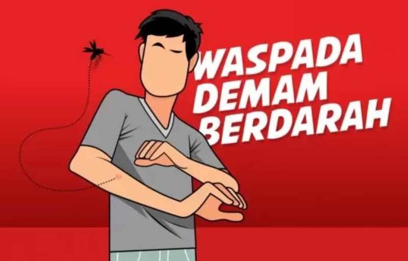 ilustrasi wabah demam berdarah. (dok.Jawa Pos.com)