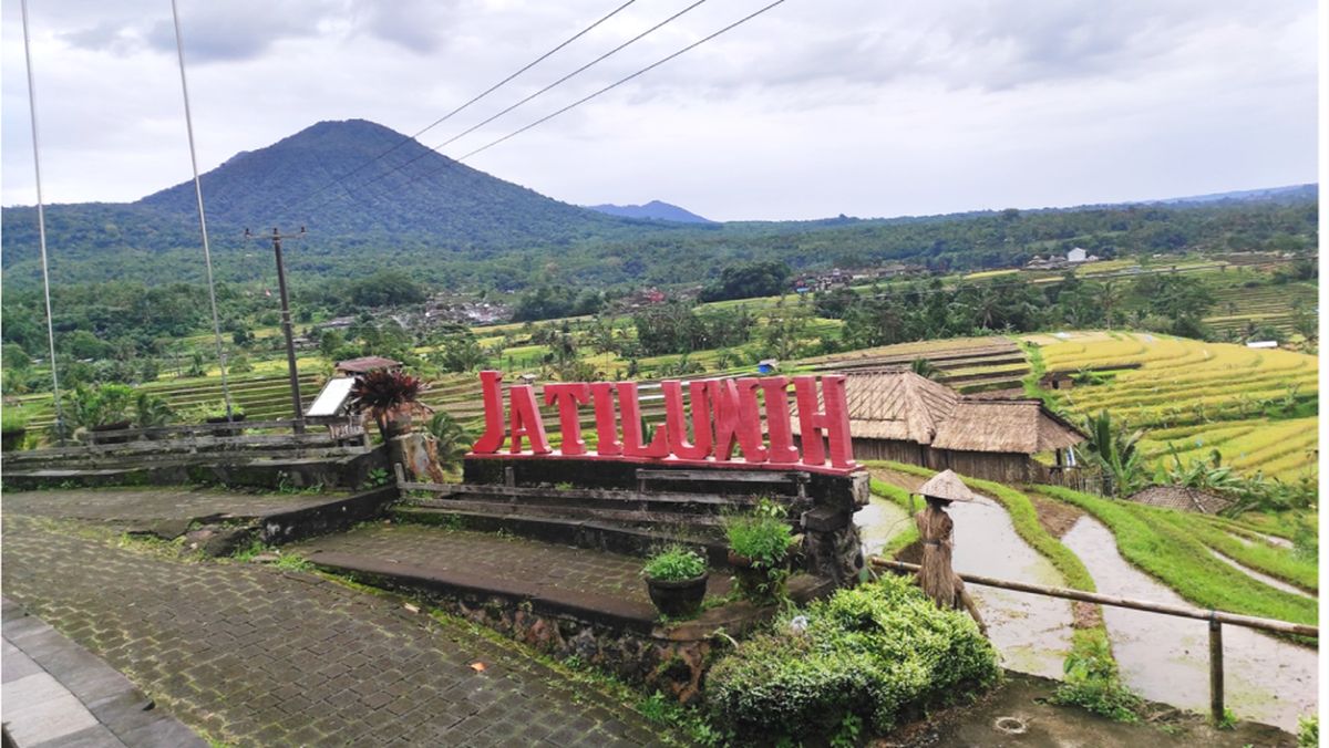 TERCELA: Adanya bangunan ditengah persawahan di Subak Jatiluwih Tabanan