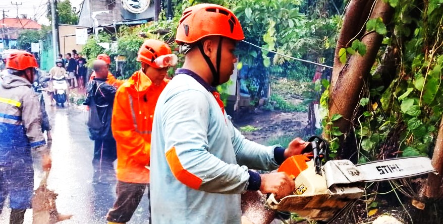 KERJA KERAS BERSIHKAN POHON TUMBANG: Petugas BPBD Buleleng Tengah membersihkan pohon tumbang yang merintangi jalan raya. (foto:BPBD Buleleng)
