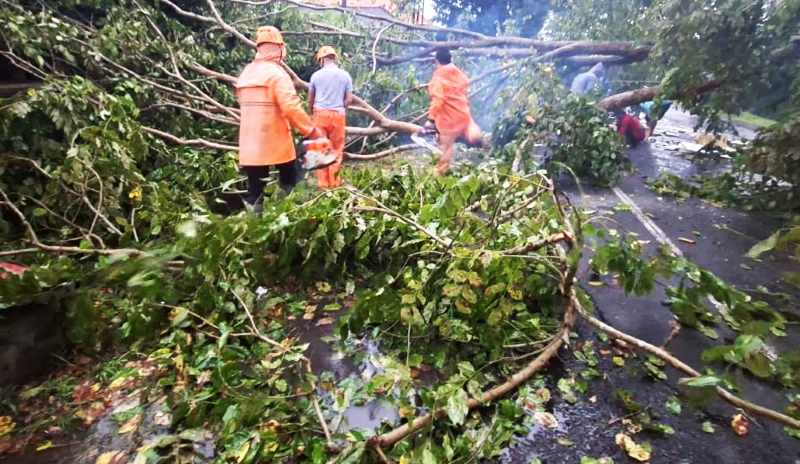 GEGARA CUACA EKSTREM: Rumah yang rusak karena angin puting beliung dan dahan pohon tumbang di Jalan Denpasar &ndash; Gilimanuk. (BPBD Jembrana)