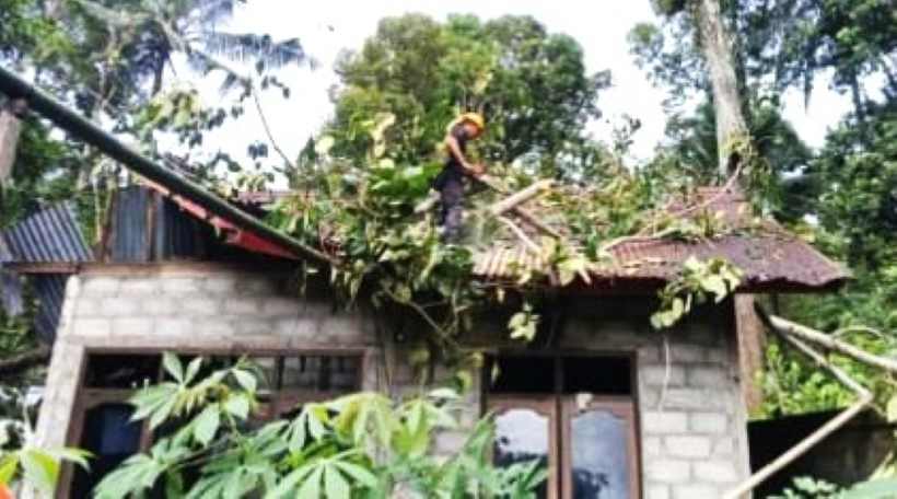 BERSIHKAN POHON TUMBANG : Petugas BPBD Karangasem tengah membereskan pohon tumbang yang menimpa rumah warga. (ist)